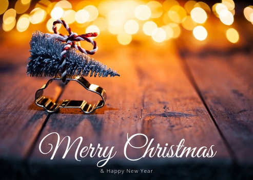 Fr&ouml;hliche Weihnachten