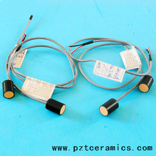 Ultraschall -Gassensor