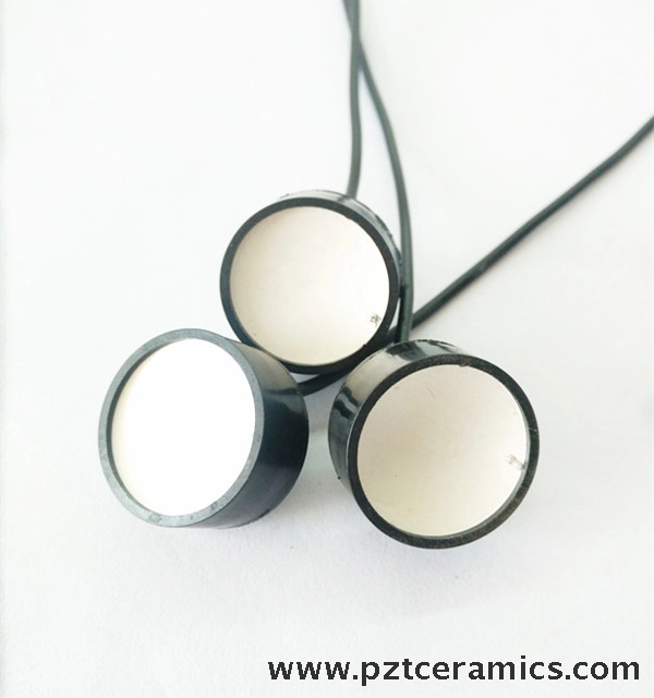 Ultraschallger&auml;te Transducer-3