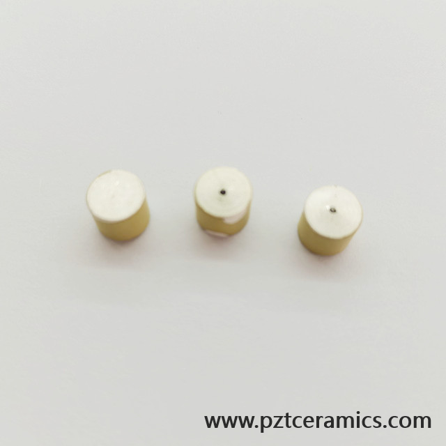 Piezoelektrische Keramiksensor Piezo Wandler China Hersteller Customized Products